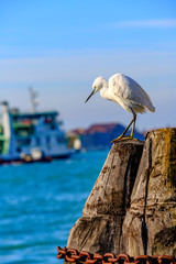 view of venice on a spring day