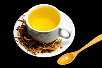 Cordyceps militaris mushroom