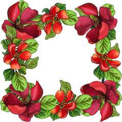 Border or frame made of red blooming Japanese Quince flowers and green leaves. Watercolor floral illustration.