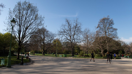 Fototapeta na wymiar Paris Park