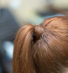 female hairstyle horse tail