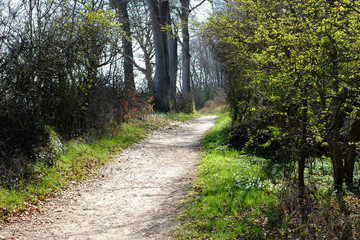Wanderweg an der Küste