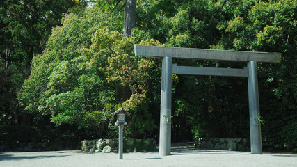 The torii gate in front of the walk path with many trees to the main shrine.