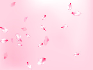 Japanese cherry blossom pink flying petals