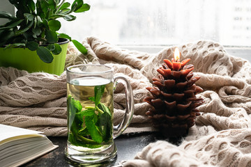 Hygge style home interior with warm blanket, interesting book, cup of organic mint tea and candle.