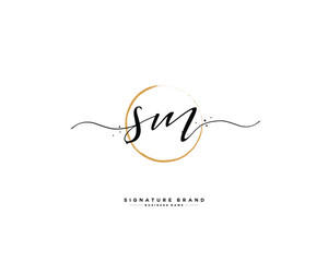 S M SM initial logo handwriting  template vector