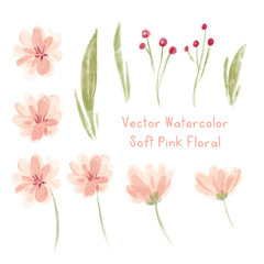 Printvector watercolor vintage soft pink floral elements
