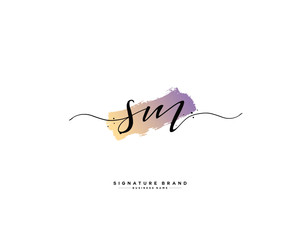 S M SM initial logo handwriting  template vector