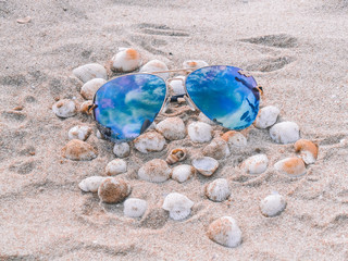 Fototapeta na wymiar Blue sunglasses and Sea shells on sand beach. Sea shells in sand pile isolated on sandy background. Sandy beach with summer accessories and copy space around products. Blank mock up. Summer time. 