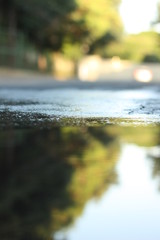 REFLEXO EM UMA POÇA D'GUA