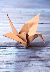 Paper Crane (Origami) 