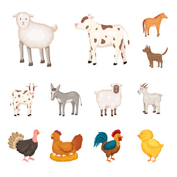 Vector illustration of farm and food symbol. Collection of farm and countryside vector icon for stock.