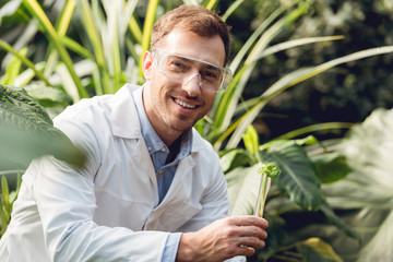selective focus of smiling handsome scientist in white coat and goggles taking plant sample in flask in orangery