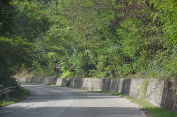 Spring: rural landscape - Basilicata