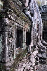 Fototapeta na wymiar Jungle temple