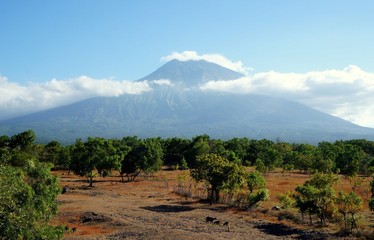 Naklejka premium Bali mountain and field landscape
