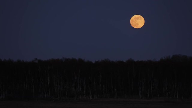 Amazing full moon rise 4k visual resource 60p explainer youtube background e-learning   Amager F&aelig;lled Copenhagen Denmark