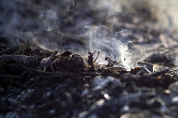 Smoke and ashes of bonfire long exposure. close-up macro.
