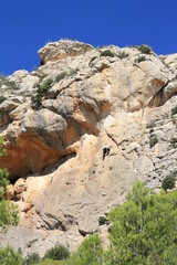 rock climber on sandstone rock face