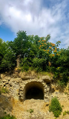 cave in the forest
