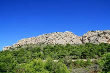 sandstone escarpment and pine forest