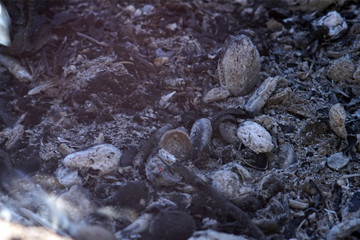 Smoke and ashes of bonfire long exposure. close-up macro.