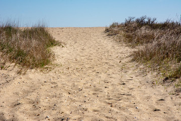 Sandy Foot Prints