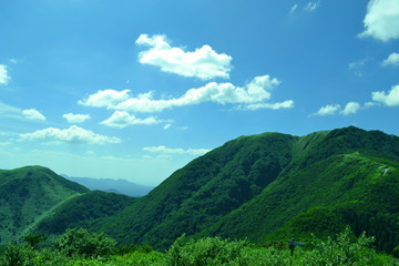 夏の山