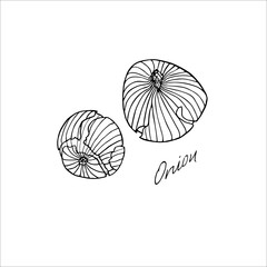 Onion hand drawn sketch with lettering - 264418182