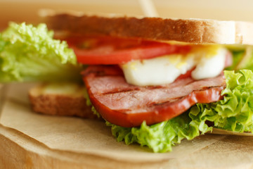 Closeup juicy sandwich with bacon, fresh vegetables, green salad and dark lines after grill