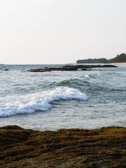Waves on the ocean with a view of the underwater cliffs overgrown with algae, exposed to algae