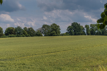 Felder am Schloss Bothmer in Klütz