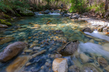 stream in forest