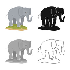 Vector design of elephant and cute sign. Collection of elephant and Africa vector icon for stock.
