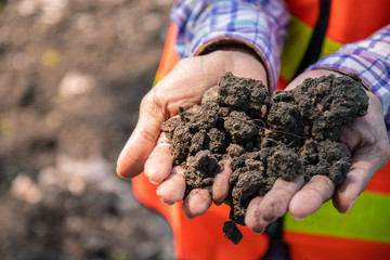The staff are checking the quality of the soil in the farmer's garden, holding the soil on the field. Check soil quality before planting plants.