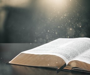 Bible.