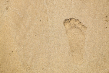 Footprint on the Beach Sand. Human Barefoot Mark After Walk Along the Beach