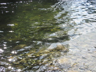 river rocky bottom in clear water