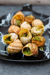 Burgundy snails Pure stuffing Butter garlic and parsley