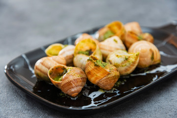 Burgundy snails Pure stuffing Butter garlic and parsley