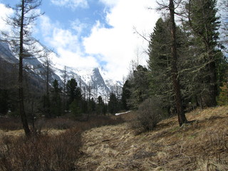 mountains in winter