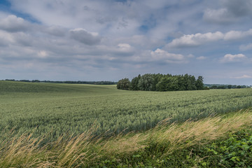 Obraz premium De Lütt Kaffeebrenner in Klütz