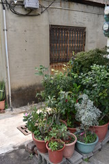 台南　レトロな路地