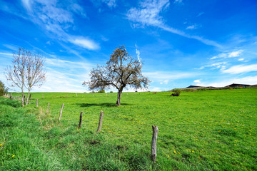 Deutsche Mittelgebirgslandschaft