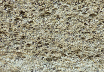 Shell rock surface