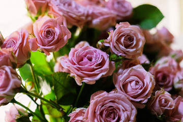 bouquet of pink roses