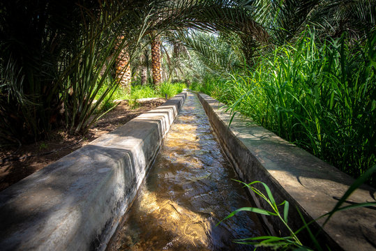 Water flowing in a falaj in a very green oasis