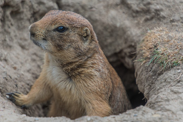 Tierpark Wismar