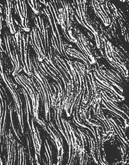 Distress old dry wooden textures. EPS8 vector.