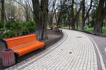 places of rest in parks and open squares in spring on a bright day with light green grass